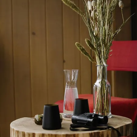 Bergwelt - Alpine Design 格林德瓦